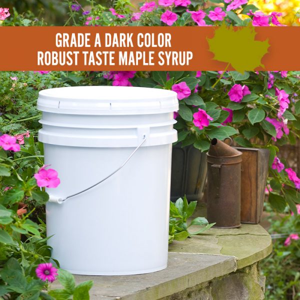 Dark Color Robust Taste Maple Syrup Pail