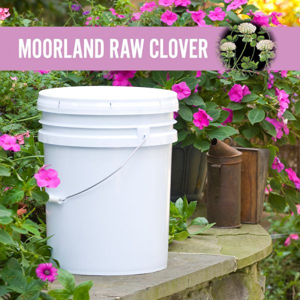 Moorland Raw Clover Honey Pail